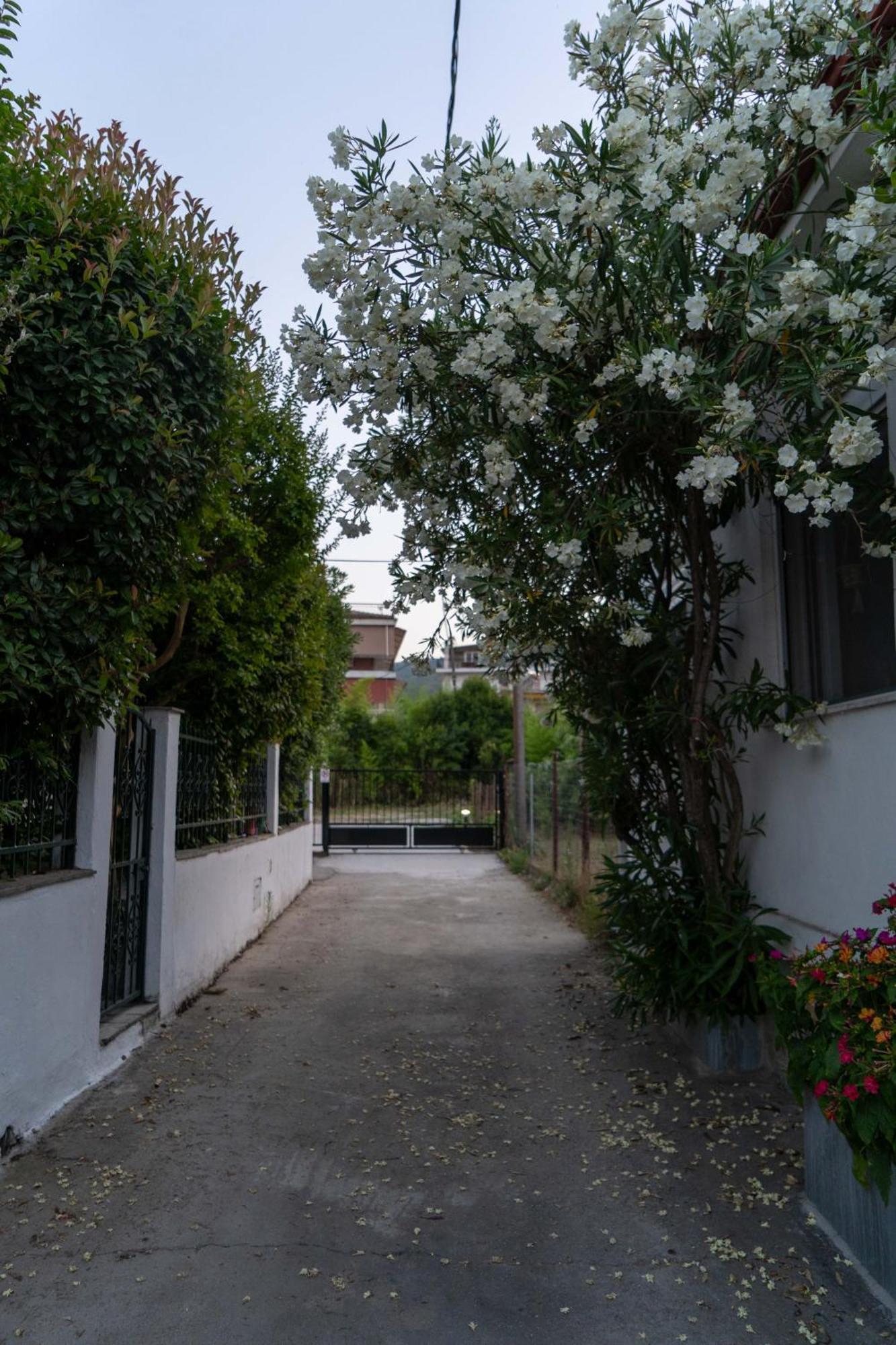 Vila Terrazzo House Platamonas Exteriér fotografie